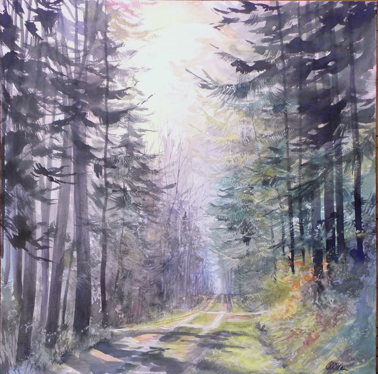 L'allée aux grands bois