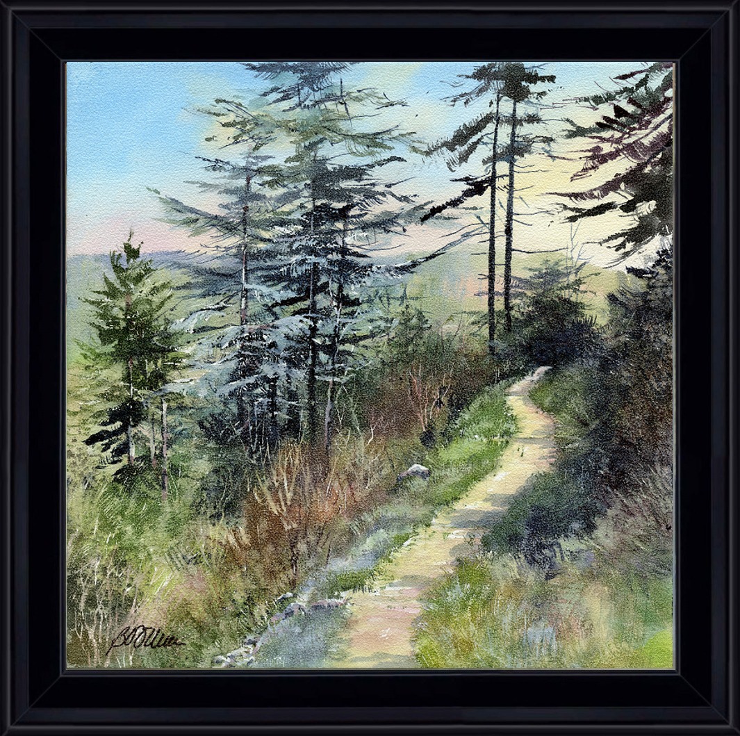 Le sentier des cèdres