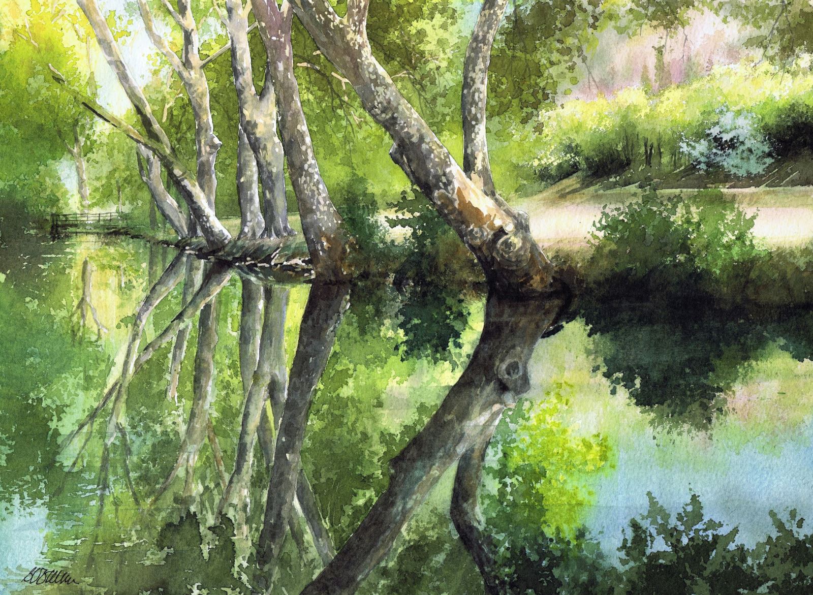 La vallée aux miroirs