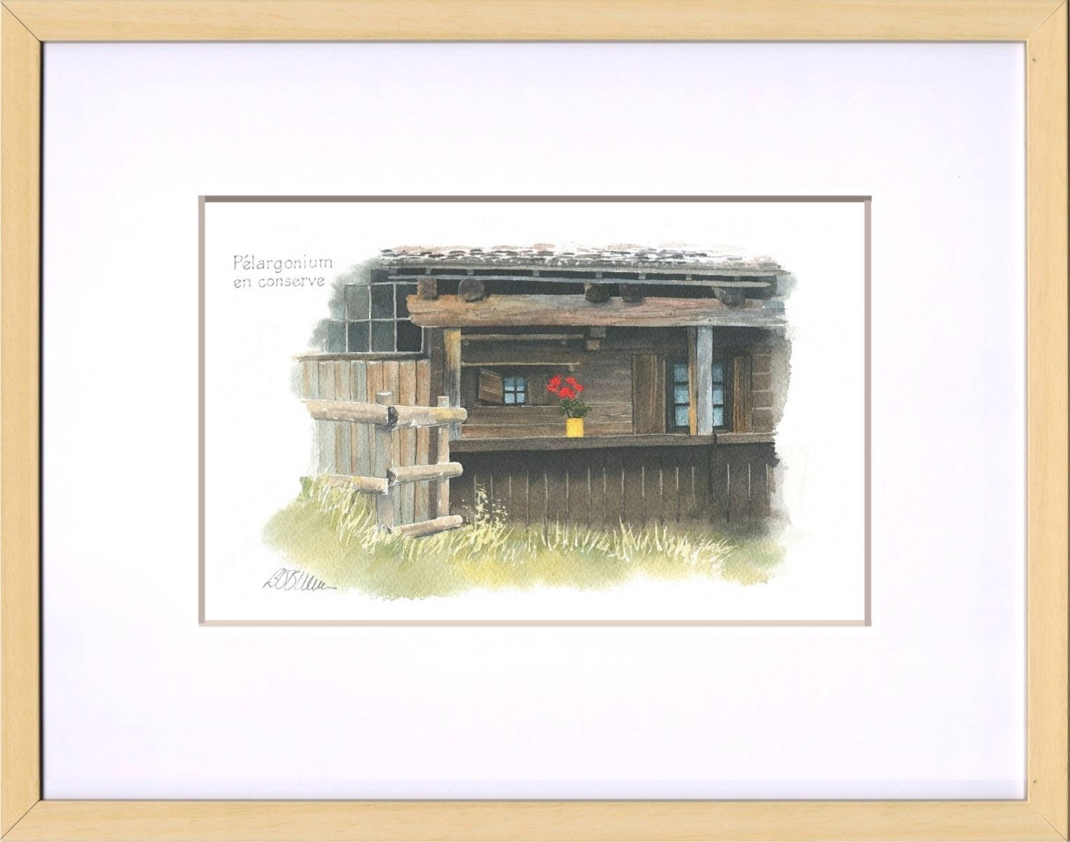 Pélargonium en conserve