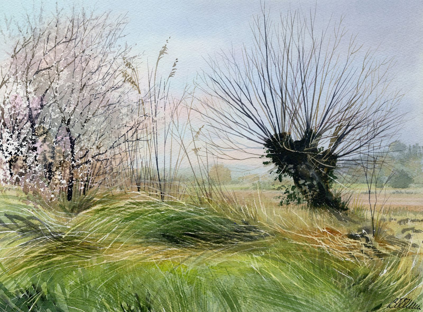 Winkelried contre épines noires